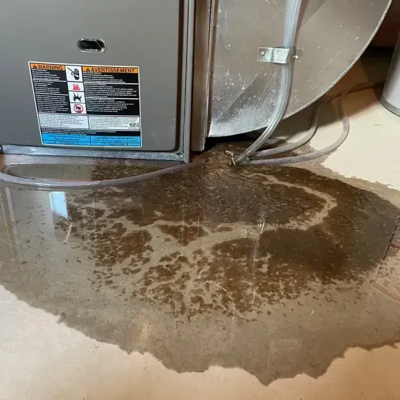 Appliance Leak Cleanup in Golden, CO